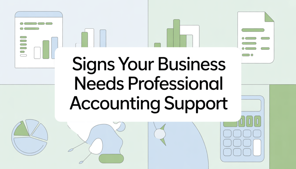 signs your business needs professional accounting support